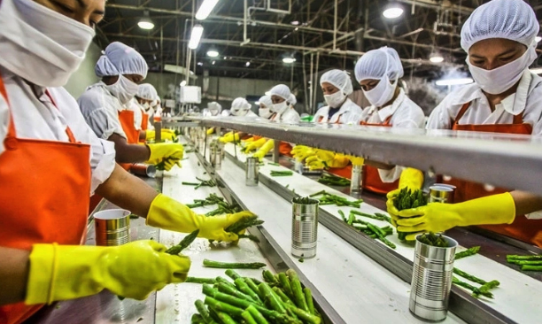 Alimentos